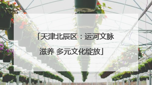 天津北辰区：运河文脉滋养 多元文化绽放