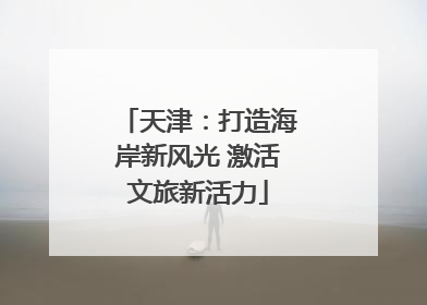 天津：打造海岸新风光 激活文旅新活力