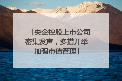 央企控股上市公司密集发声，多措并举加强市值管理