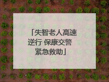 失智老人高速逆行 保康交警紧急救助