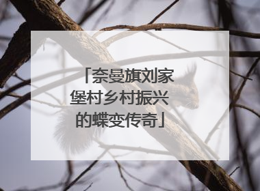 奈曼旗刘家堡村乡村振兴的蝶变传奇