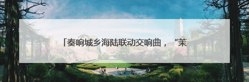 奏响城乡海陆联动交响曲，“茉莉花开”双线绽放文化惠民新篇