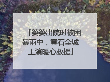婆婆出院时被困暴雨中，黄石全城上演暖心救援
