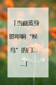 当藏蓝身影叩响“候鸟”的门……