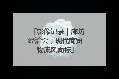 影像记录｜廊坊经洽会，现代商贸物流风向标