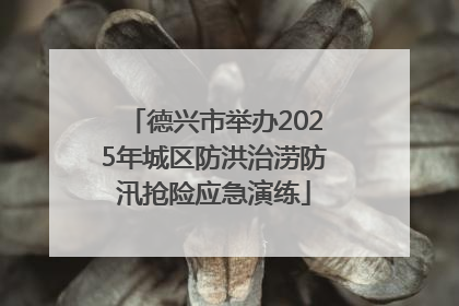 德兴市举办2025年城区防洪治涝防汛抢险应急演练