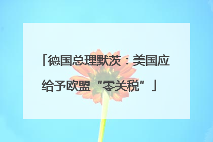德国总理默茨：美国应给予欧盟“零关税”