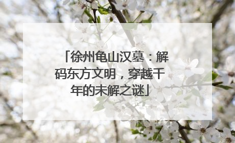 徐州龟山汉墓：解码东方文明，穿越千年的未解之谜