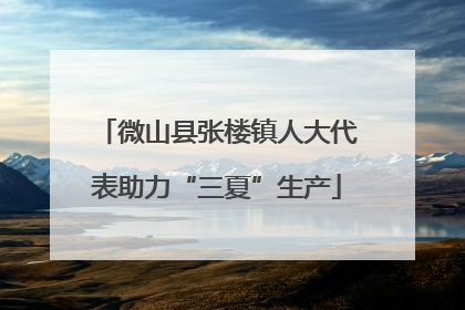 微山县张楼镇人大代表助力“三夏”生产
