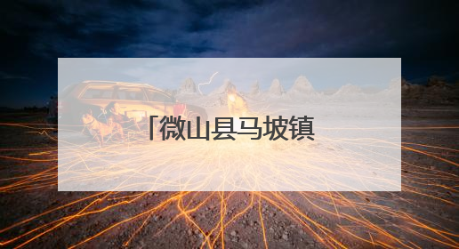 微山县马坡镇开展托育服务集中宣传活动