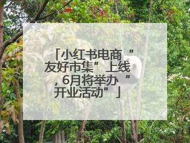 小红书电商“友好市集”上线，6月将举办“开业活动”