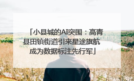 小县城的AI突围：高青县田镇街道引来星途旗航 成为数据标注先行军
