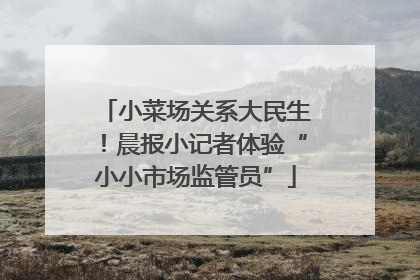 小菜场关系大民生！晨报小记者体验“小小市场监管员”