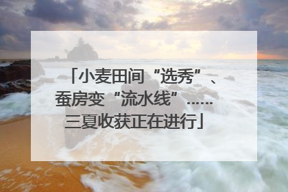 小麦田间“选秀”、蚕房变“流水线”……三夏收获正在进行