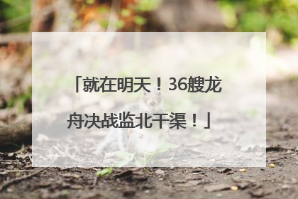 就在明天！36艘龙舟决战监北干渠！