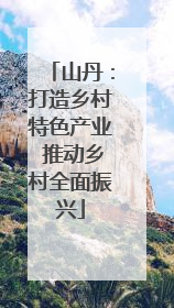 山丹：打造乡村特色产业 推动乡村全面振兴