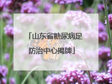 山东省糖尿病足防治中心揭牌