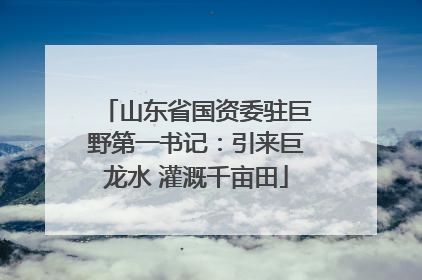 山东省国资委驻巨野第一书记：引来巨龙水 灌溉千亩田
