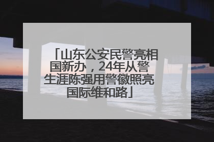 山东公安民警亮相国新办，24年从警生涯陈强用警徽照亮国际维和路