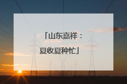 山东嘉祥：夏收夏种忙