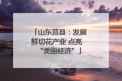 山东莒县：发展鲜切花产业 点亮“美丽经济”