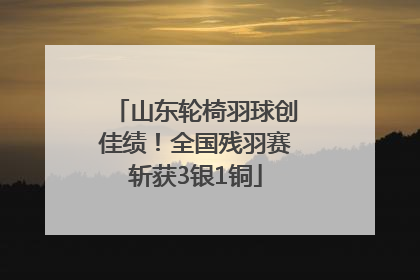 山东轮椅羽球创佳绩！全国残羽赛斩获3银1铜
