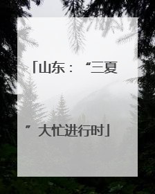 山东：“三夏”大忙进行时