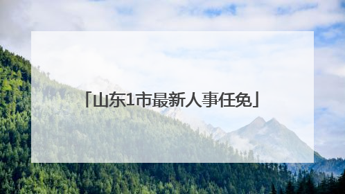 山东1市最新人事任免