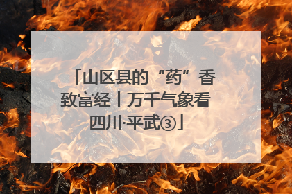 山区县的“药”香致富经丨万千气象看四川·平武③