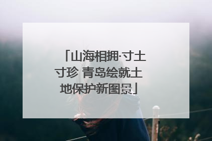 山海相拥·寸土寸珍 青岛绘就土地保护新图景