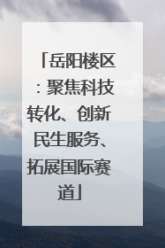 岳阳楼区：聚焦科技转化、创新民生服务、拓展国际赛道