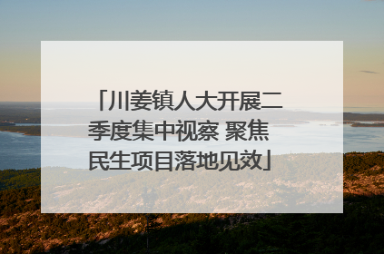 川姜镇人大开展二季度集中视察 聚焦民生项目落地见效