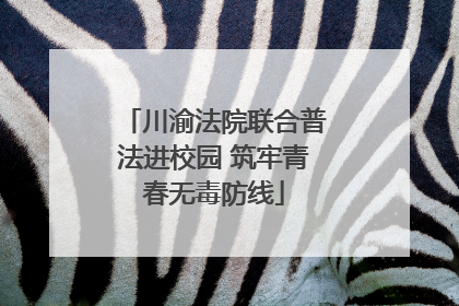 川渝法院联合普法进校园 筑牢青春无毒防线