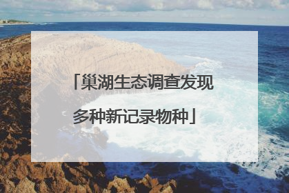 巢湖生态调查发现多种新记录物种