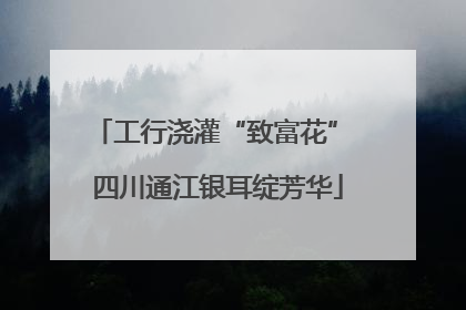 工行浇灌“致富花” 四川通江银耳绽芳华