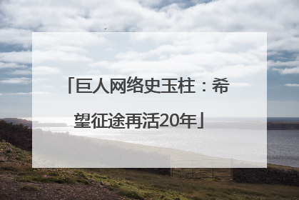 巨人网络史玉柱：希望征途再活20年