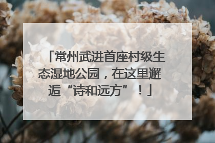 常州武进首座村级生态湿地公园，在这里邂逅“诗和远方”！