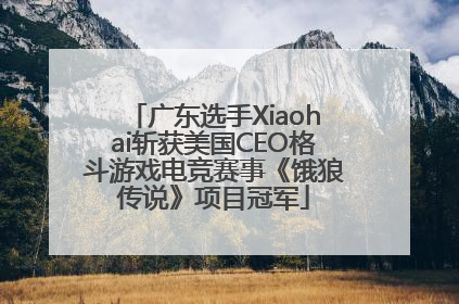 广东选手Xiaohai斩获美国CEO格斗游戏电竞赛事《饿狼传说》项目冠军