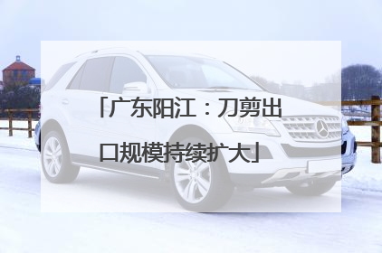 广东阳江：刀剪出口规模持续扩大