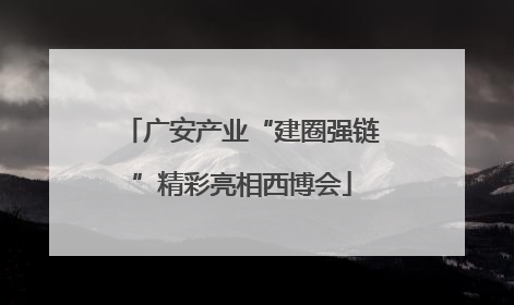 广安产业“建圈强链”精彩亮相西博会