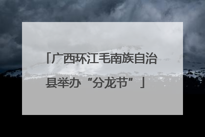 广西环江毛南族自治县举办“分龙节”