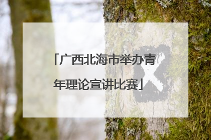 广西北海市举办青年理论宣讲比赛
