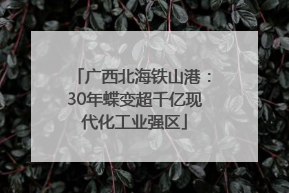 广西北海铁山港：30年蝶变超千亿现代化工业强区