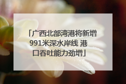 广西北部湾港将新增991米深水岸线 港口吞吐能力劲增