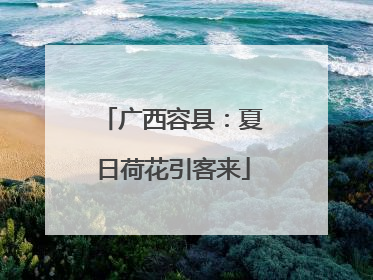 广西容县：夏日荷花引客来