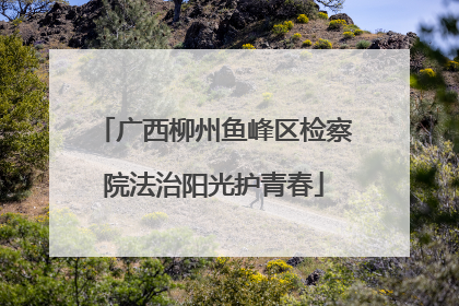 广西柳州鱼峰区检察院法治阳光护青春