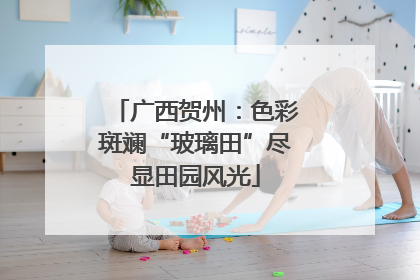 广西贺州：色彩斑斓“玻璃田”尽显田园风光