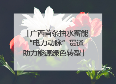 广西首条抽水蓄能“电力动脉”贯通 助力能源绿色转型