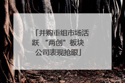 并购重组市场活跃 “两创”板块公司表现抢眼