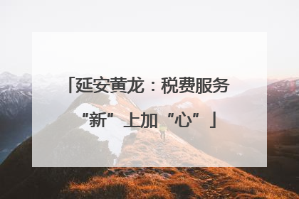 延安黄龙：税费服务“新”上加“心”